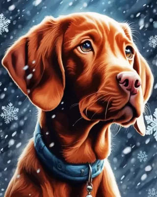 Snowy Vizsla Dog Paint by Number