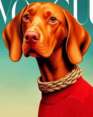 Stylish Vizsla Dog Paint by Number