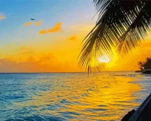 Sunrise Barbados Paint by Number