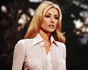 Vintage Sharon Tate Paint by Number