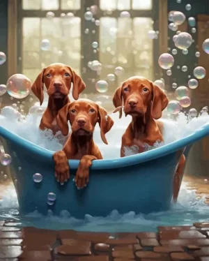 Vizsla Dogs Paint by Number