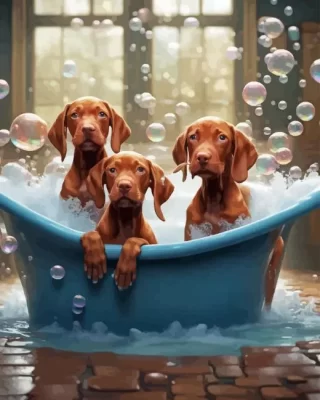 Vizsla Dogs Paint by Number
