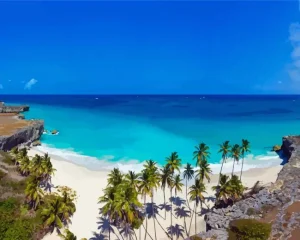 West Coast Barbados Of Caribbean Paint by Number