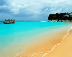 West Coast Barbados Paint by Number