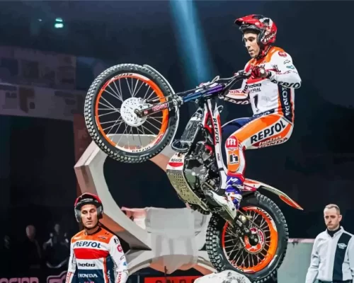 Aesthetic Toni Bou Art Paint by Number