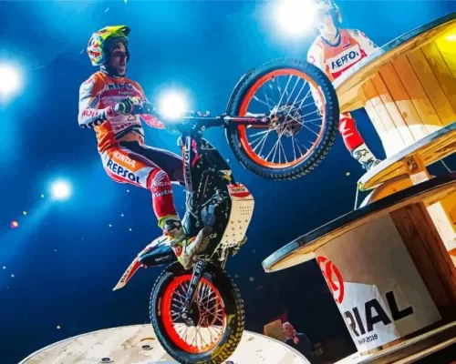 Toni Bou Art Paint by Number