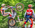 Aesthetic Toni Bou Paint by Number