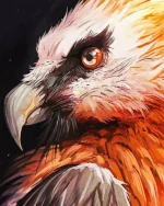 Hooded Vulture Paint by Number