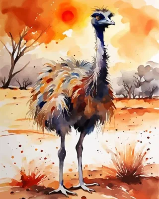 Emu Bird Animal Paint by Number