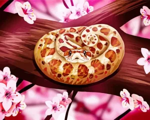 Hognose Art Paint by Numbers