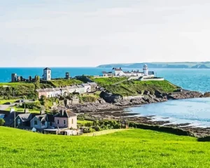 Roches Paint by Numbers