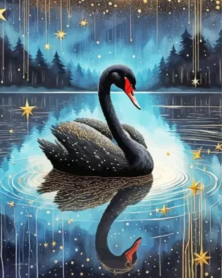 Black Swan Bird Paint by Number
