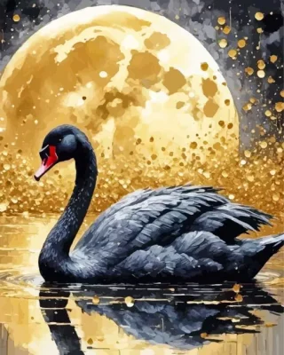 Golden Moon And Black Swan Paint by Numbers 