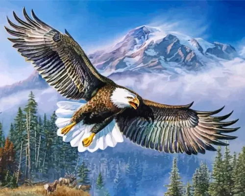 American Eagle Paint By Numbers 