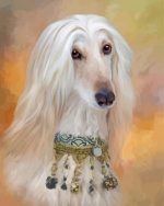 Afghan Hound Paint By Number
