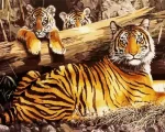 Family Of Tigers Paint By Number