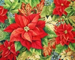 Poinsettias Paint By Numbers