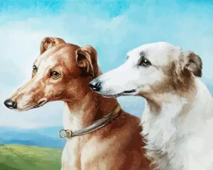 Two Greyhounds Paint By Numbers
