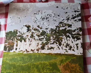 Custom pbn Landscape gallery image 1