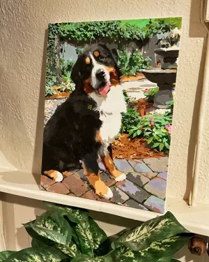 Custom pbn Pets gall 7