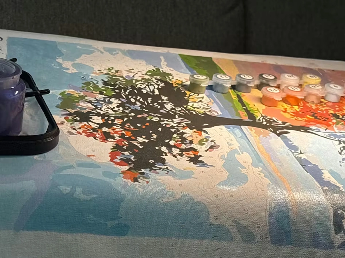 Paint By Numbers Designs