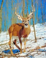 Male White Tailed Deer Paint By Numbers
