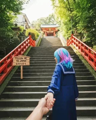 Follow Me To Japan Paint By Numbers