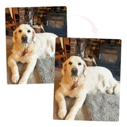 Custom paint by numbers