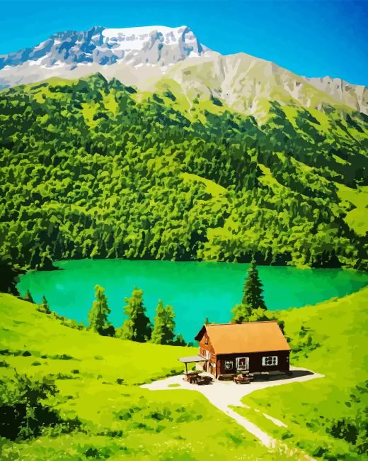 Landscape Paint by Numbers For Adults