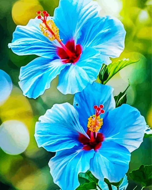 Flowers Paint by Numbers For Adults