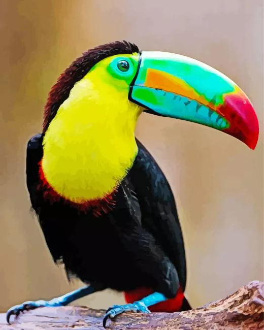 birds Paint by Numbers For Adults