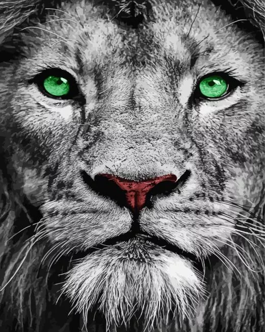 black and white Paint by Numbers For Adults