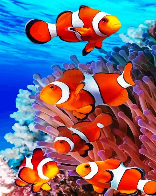 fish Paint by Numbers For Adults