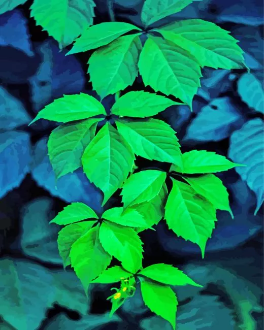 plants Paint by Numbers For Adults